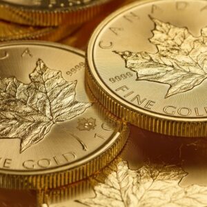 Investment Package Gold Standart